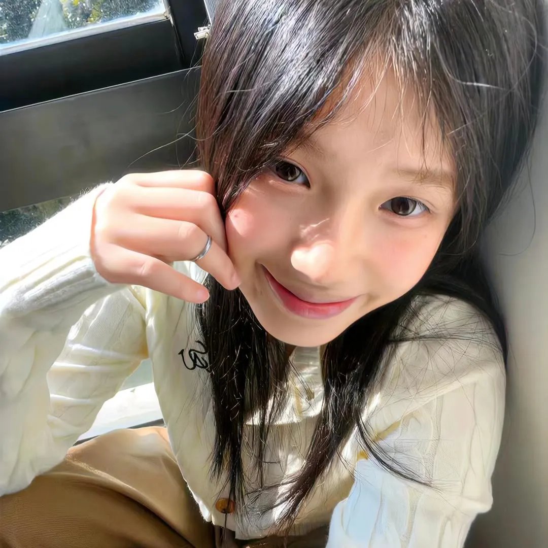 纳勒迪:一只小象的故事